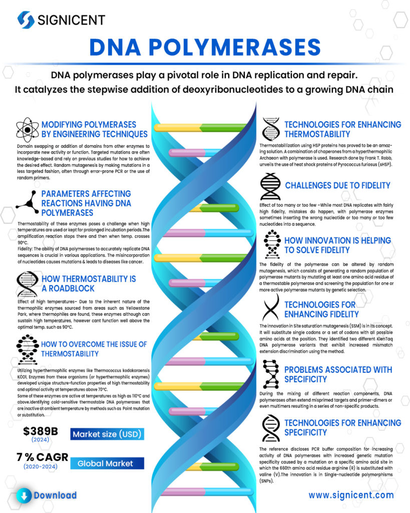 DNA-Polymerases info by Signicent