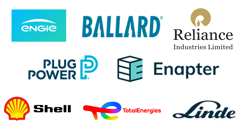 The highlighted key players working in the manufacturing process of Green/Blue Hydrogen.