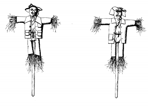 Amusing and Wiered Scarecrow Patent