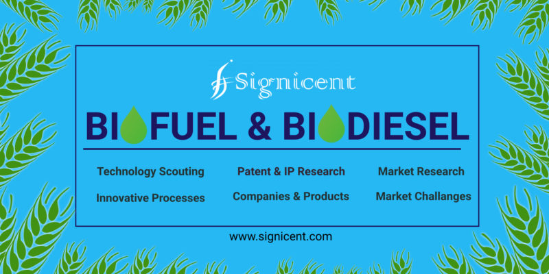 Biofuel & Biodiesel Report Sustainable Innovations to Fuel Market Growth