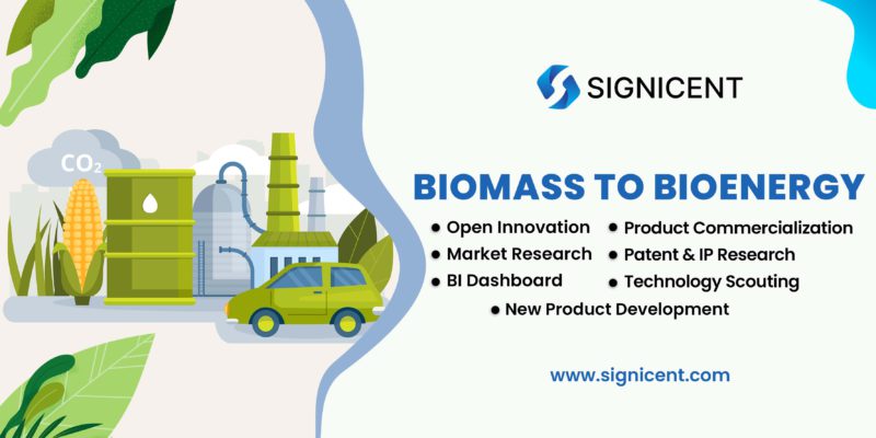 Biomass to Bio-energy By Signicent