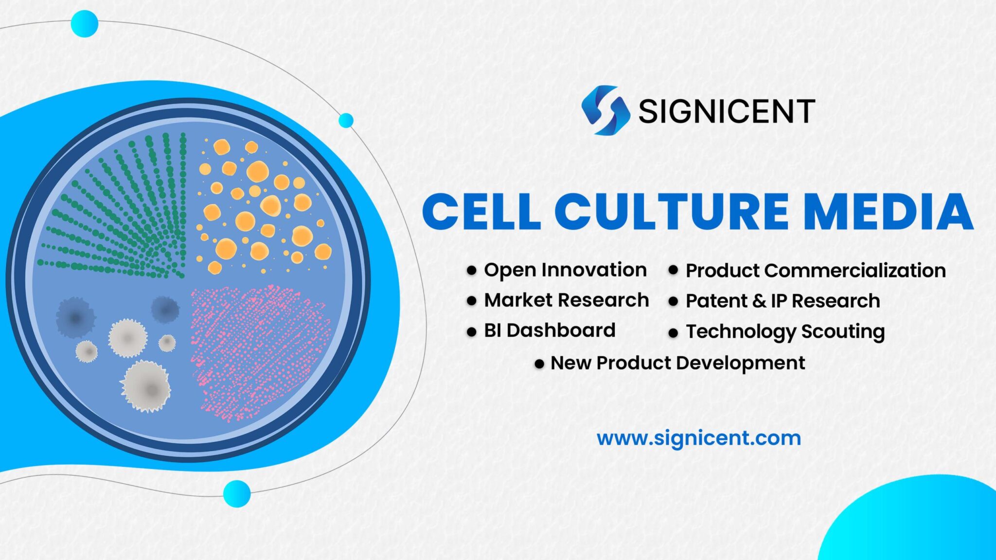 Cell Culture Media Report: How Innovative Solutions are impacting ...