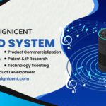 Sound System By Signicent