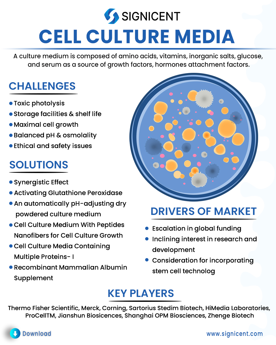 Cell Culture Media Report: How Innovative Solutions are impacting Market &  Industry? - Signicent LLP