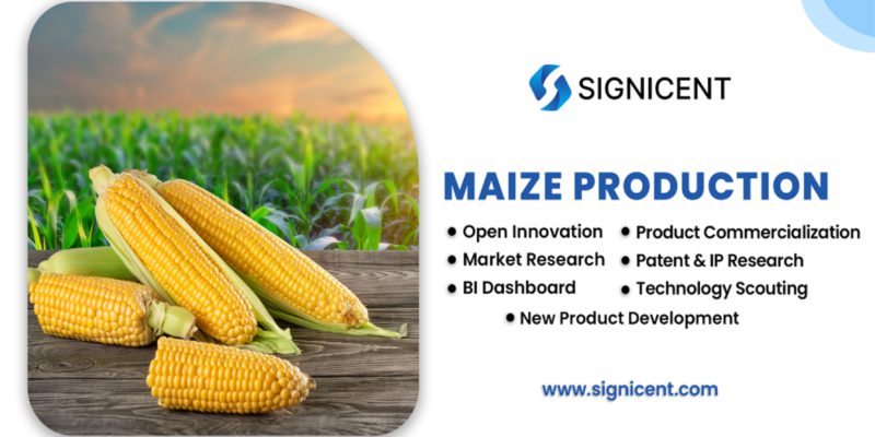 Maize Production By Signicent