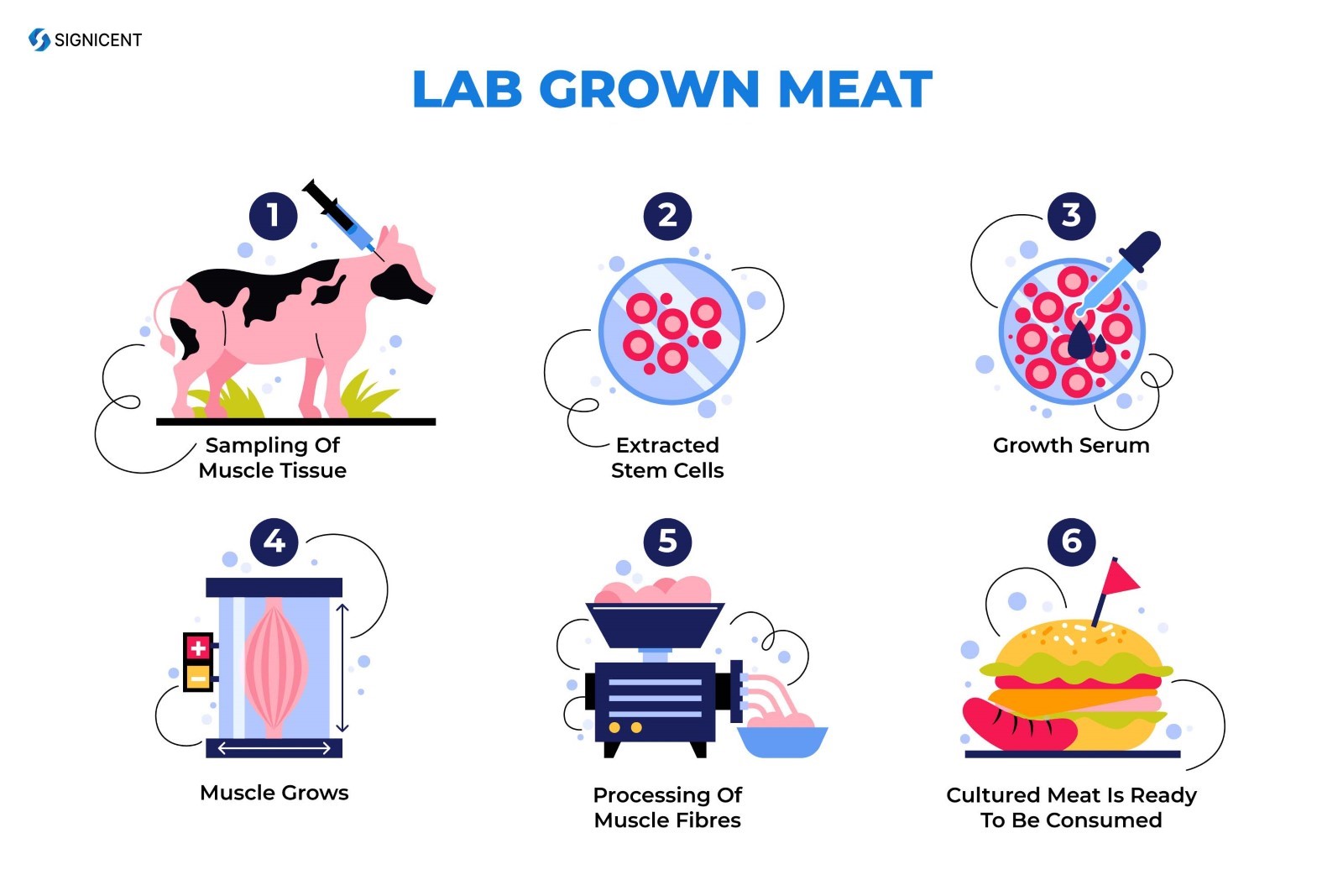 Lab-Grown Meat: Sustainable, Ethical and the Future of Food
